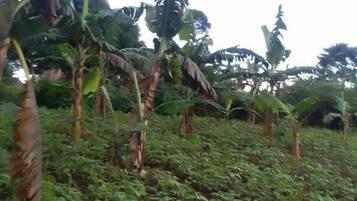 6 soverom, wi-fi og sengetøy