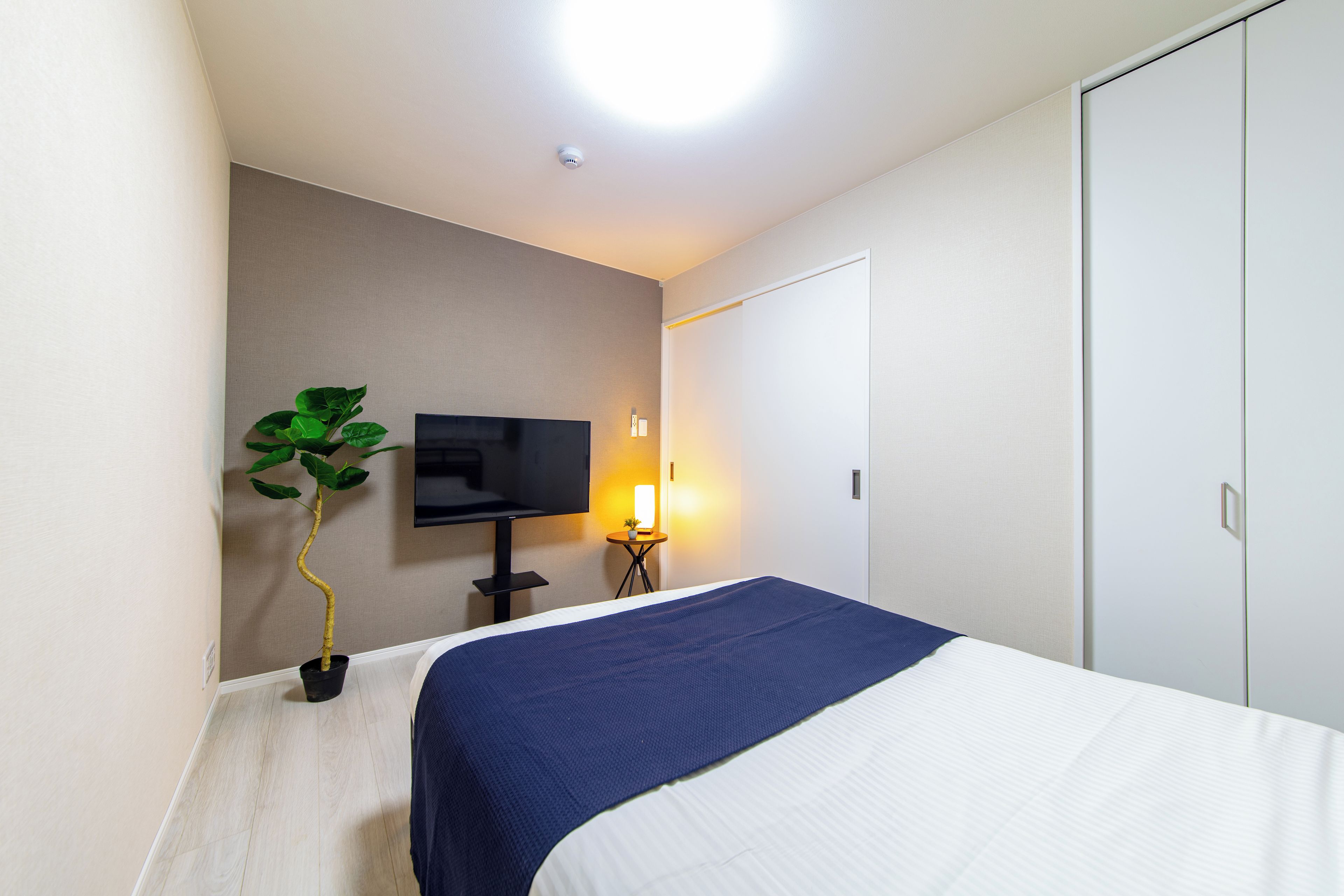 A hotel room with a bed, a television, a bedside table with a lamp, and a potted plant.