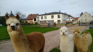 Uklassifisert bilde, 5 av 10, knapp