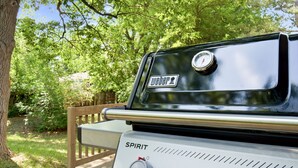 Una griglia Weber Spirit con indicatore di temperatura e manopole di controllo, posizionata all'aperto con una panca in legno e vegetazione sullo sfondo.
