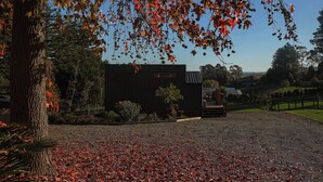 A building with a dark facade, surrounded by trees with autumn leaves, and a gravel path leading to it.