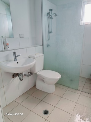 Hair dryer, towels, soap, toilet paper