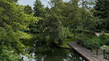 Un puente de madera sobre un río tranquilo, rodeado de exuberante vegetación y árboles.
