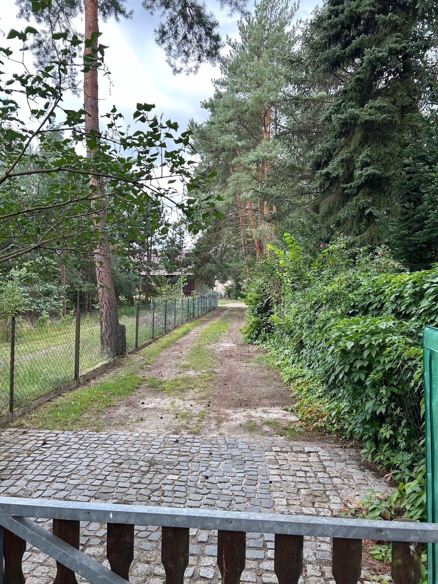 A cobblestone pathway leading through a wooded area with a metal fence on one side and dense foliage on the other.