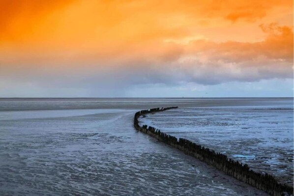 A coastal scene with a curved wooden jetty extending into the water.