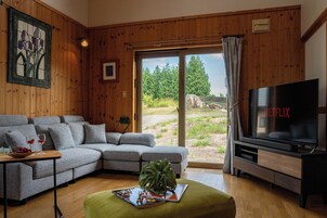 Flat-screen TV