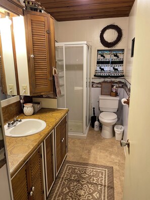 A compact bathroom with a wooden vanity, a glass shower enclosure, a toilet, and a wall-mounted toilet paper holder. - ‘Volcano Country’ Creek side Cottage in Doty (Chehalis)