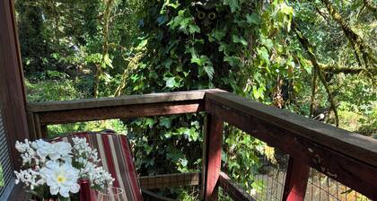 ‘Volcano Country’ Creek side Cottage in Doty