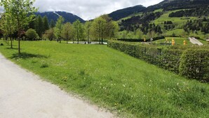A rural landscape with a dirt path, green fields, trees, and distant mountains.