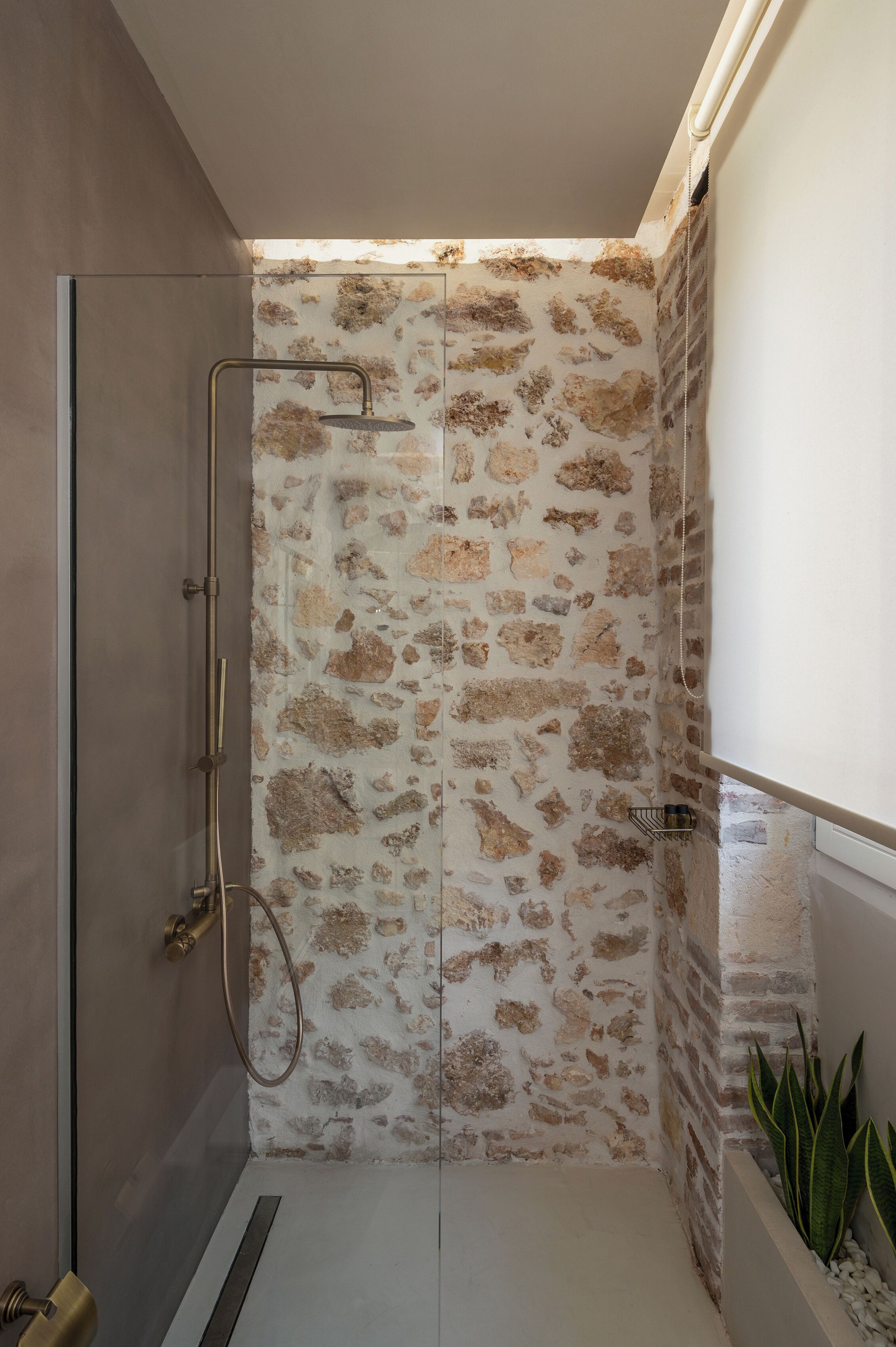 Ducha con pared de piedra, puerta de cristal y una planta en maceta.