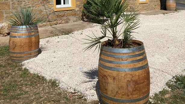 A stone building with multiple windows and a gravel driveway. - Gîte au Cœur du Beaujolais, Dans un Domaine Viticole (buuly)