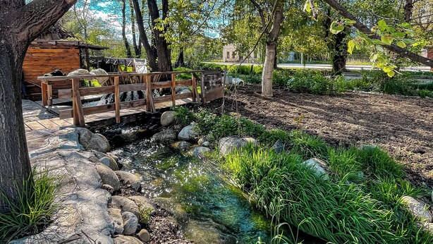 A serene park with a wooden bridge over a stream, surrounded by trees and greenery.