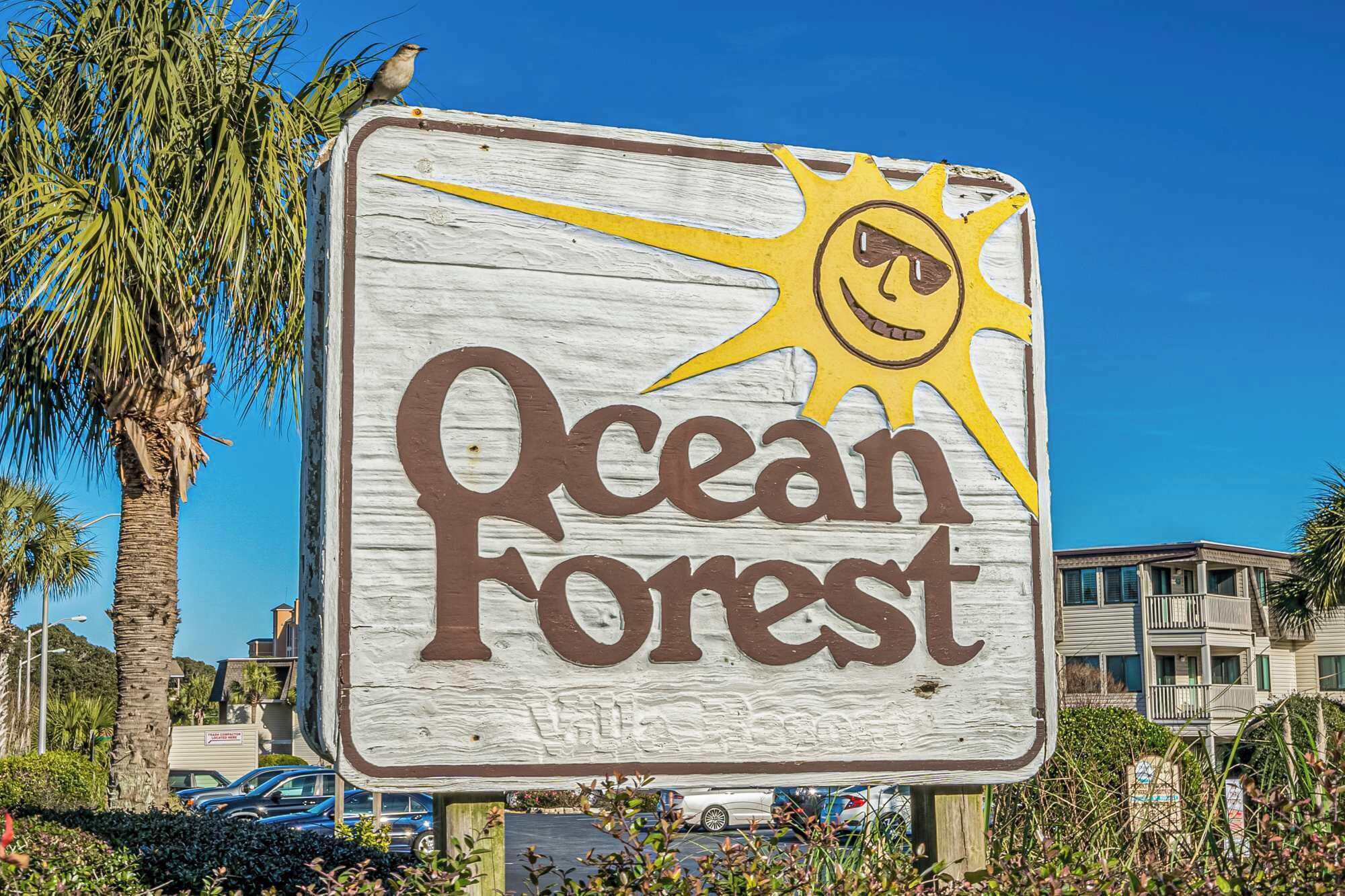 Un senyal de fusta amb les paraules 'Ocean Forest' i un dibuix de sol.