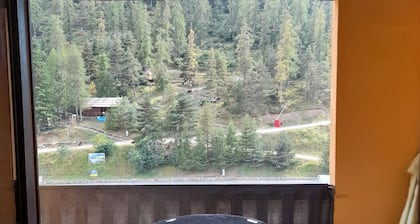 Appartement 2 piĂšces Ă la Colmiane