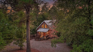 A cabin surrounded by trees with a gravel path leading to it.