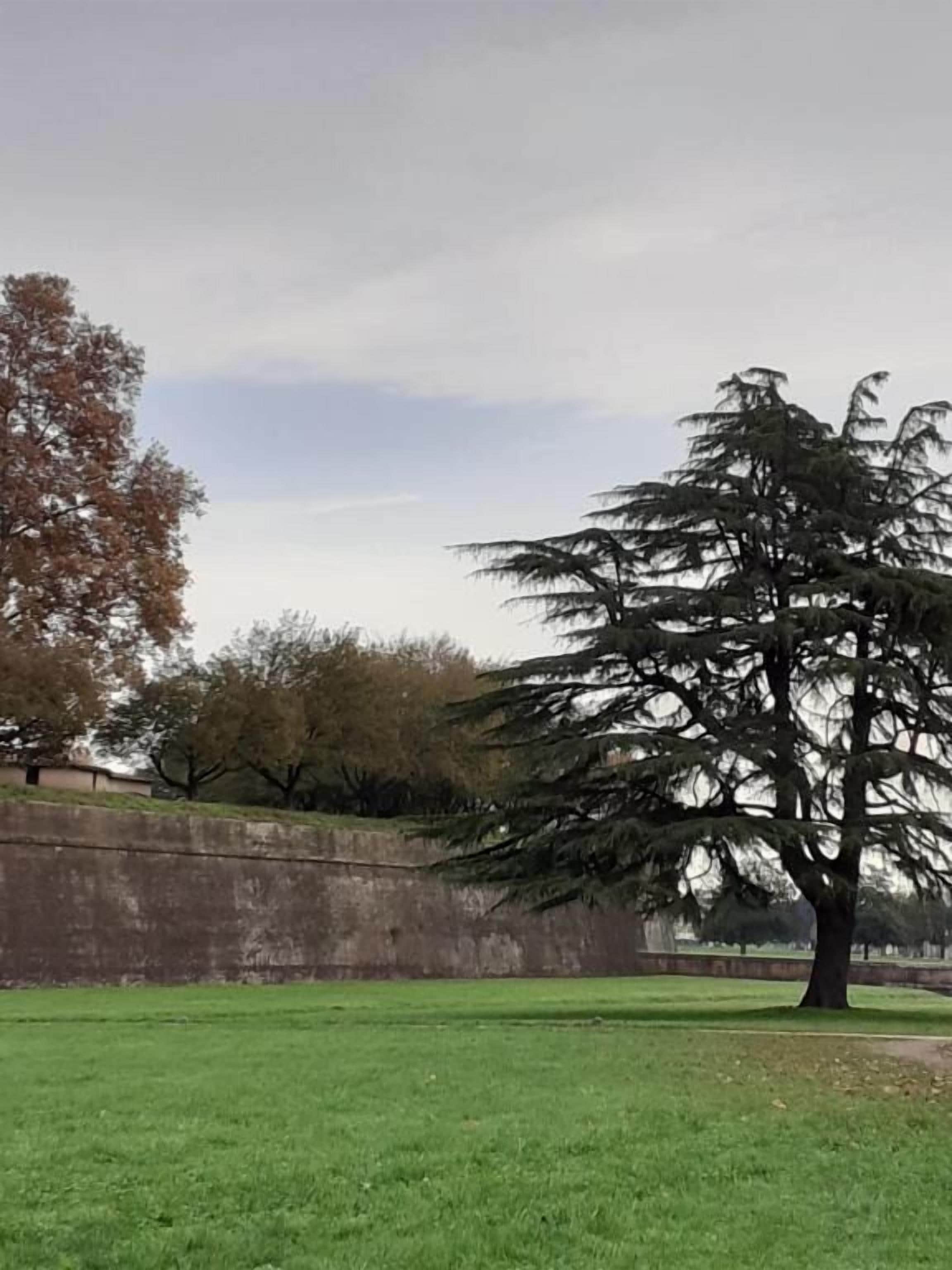 Photo - Dimora Altemura