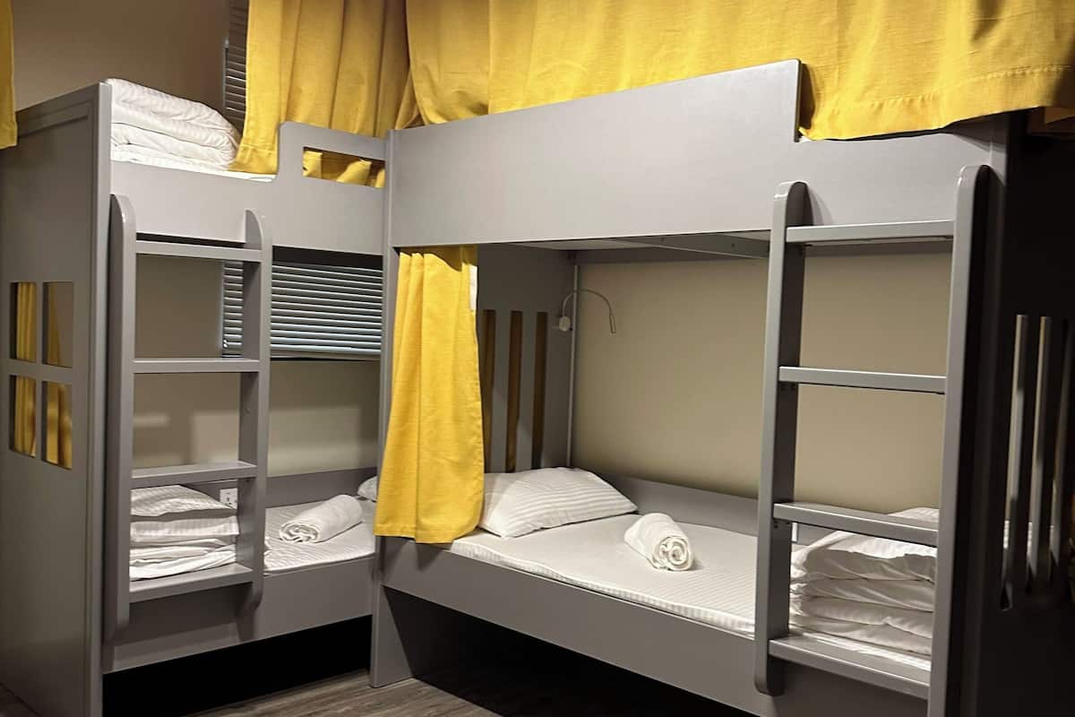 Deluxe Shared Dormitory, City View | Iron/ironing board, free WiFi