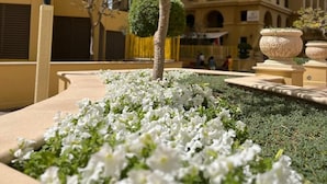 A courtyard with a tree, white flowers, and a building in the background. - Sparkle View Hostel (Dubai)