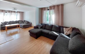 Smart-TV, Kamin