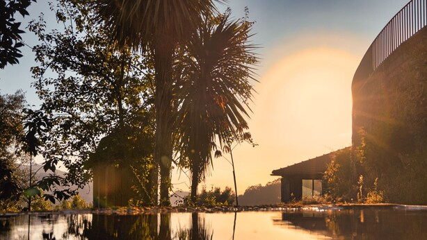 A serene lakeside view with a modern building and palm trees. - Casa S. Miguel Arcanjo - T5 (Caniçada)