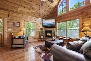 TV, fireplace, video games