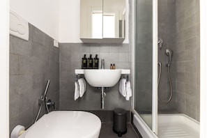 Shower, hair dryer, towels