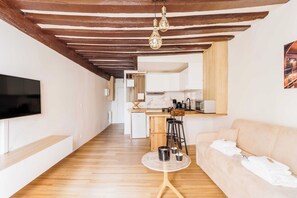 TV, DVD player, books, stereo - University Special! Mobility Lease: Rue Mouffetard, Jardin du Luxembourg (Paris)