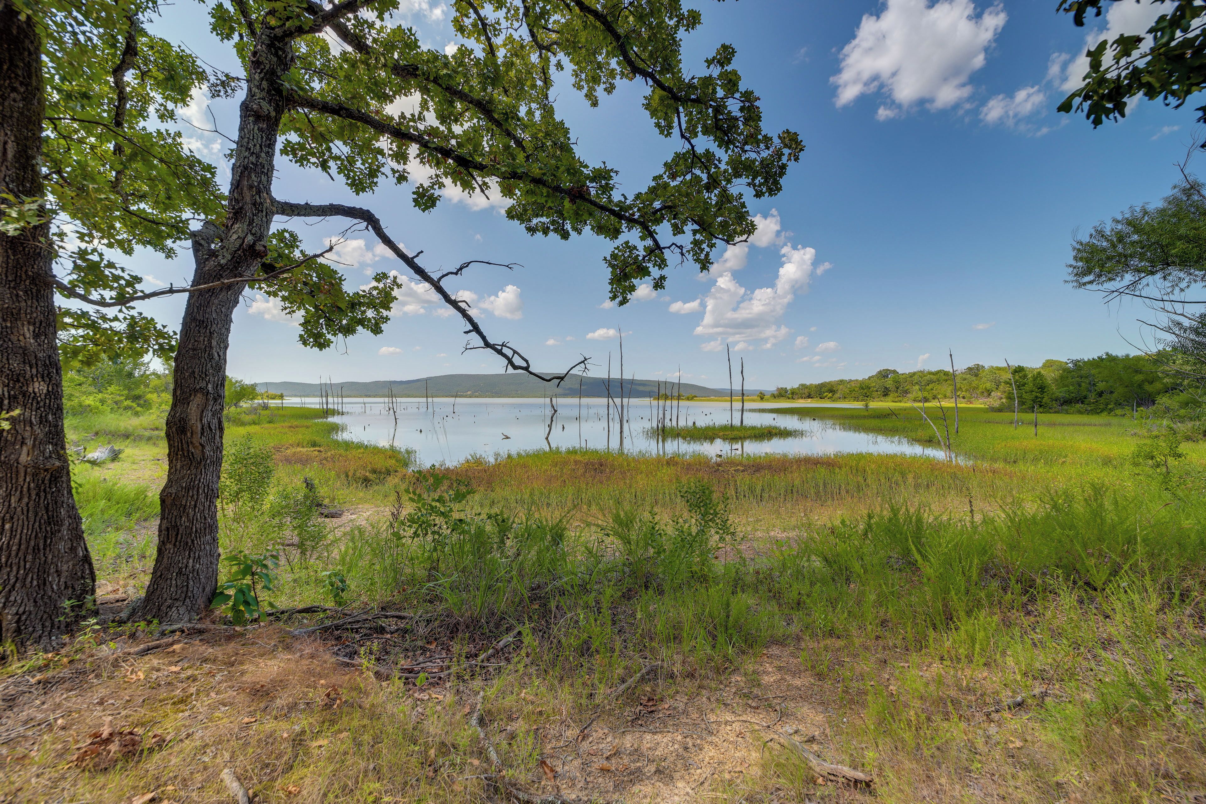 A natural landscape with trees, a body of water, and a distant mountain range.