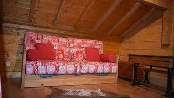 TV, fireplace, DVD player, books