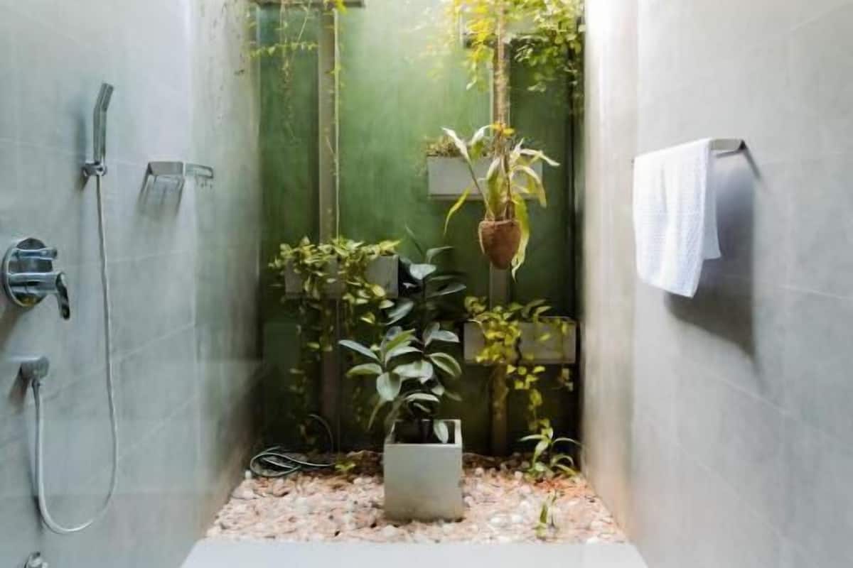 A narrow shower area with a hanging plant, a towel rack, and a small sink.
