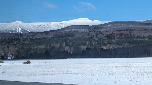 A snowy landscape with a mountain in the background, a forested area, and a clear sky. - Stowe Retreat Mountain Views & Fenced Backyard by RedAwning (Stowe)