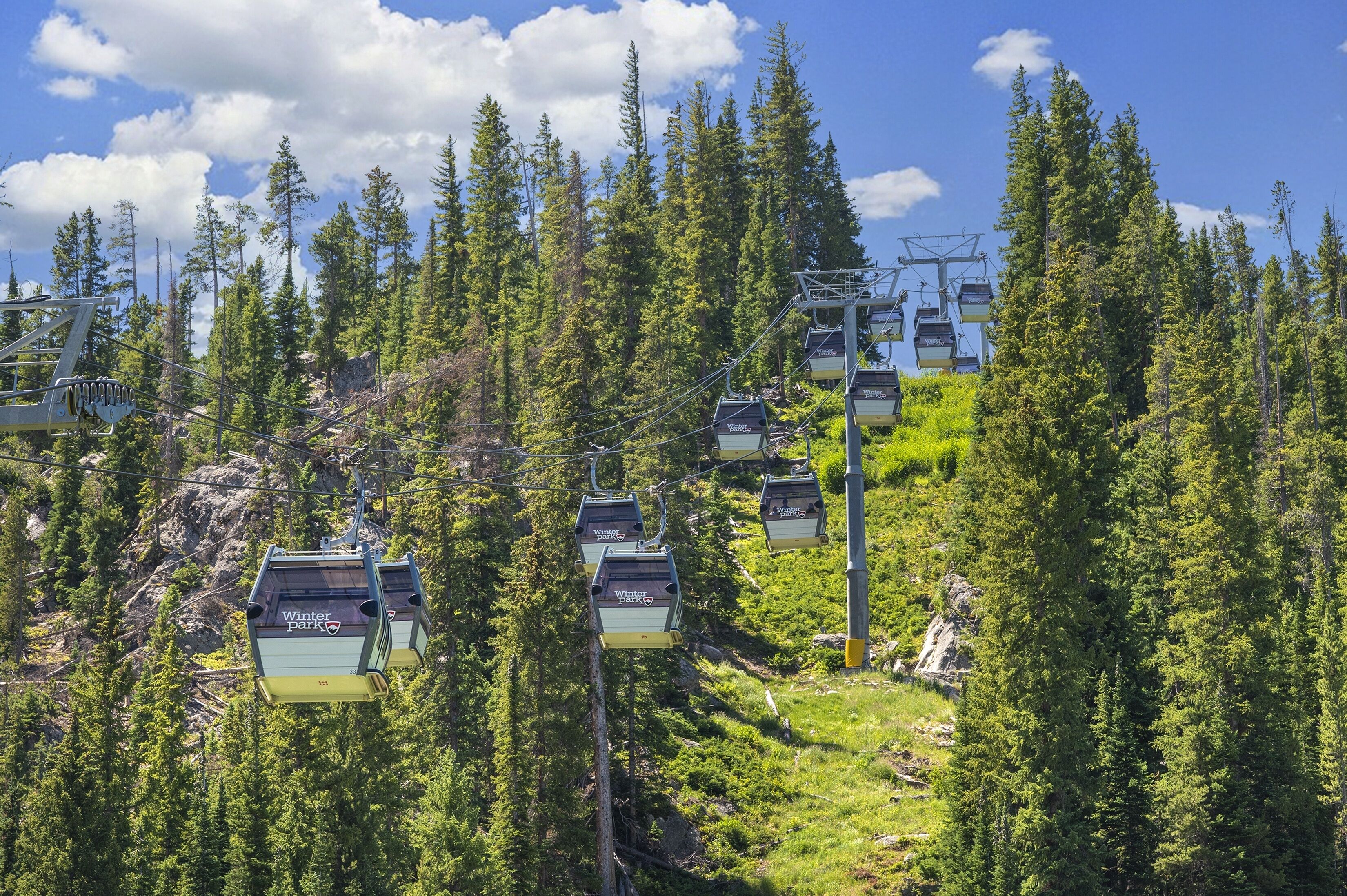 A cable car system in a forested area with multiple cabins.