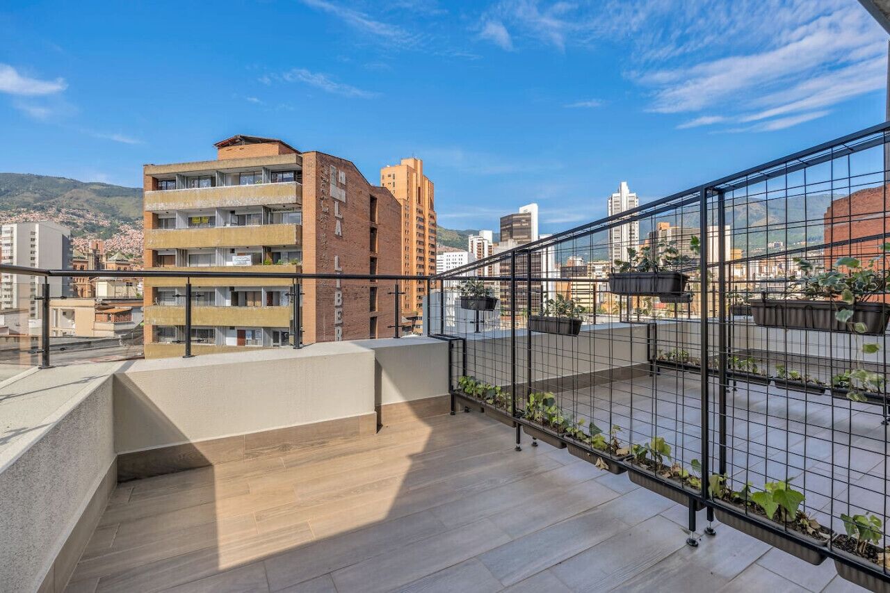 Terraza en la azotea con baranda de metal, plantas en macetas y vistas de edificios circundantes.