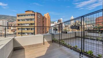 Terraza en la azotea con baranda de metal, plantas en macetas y vistas de edificios circundantes.