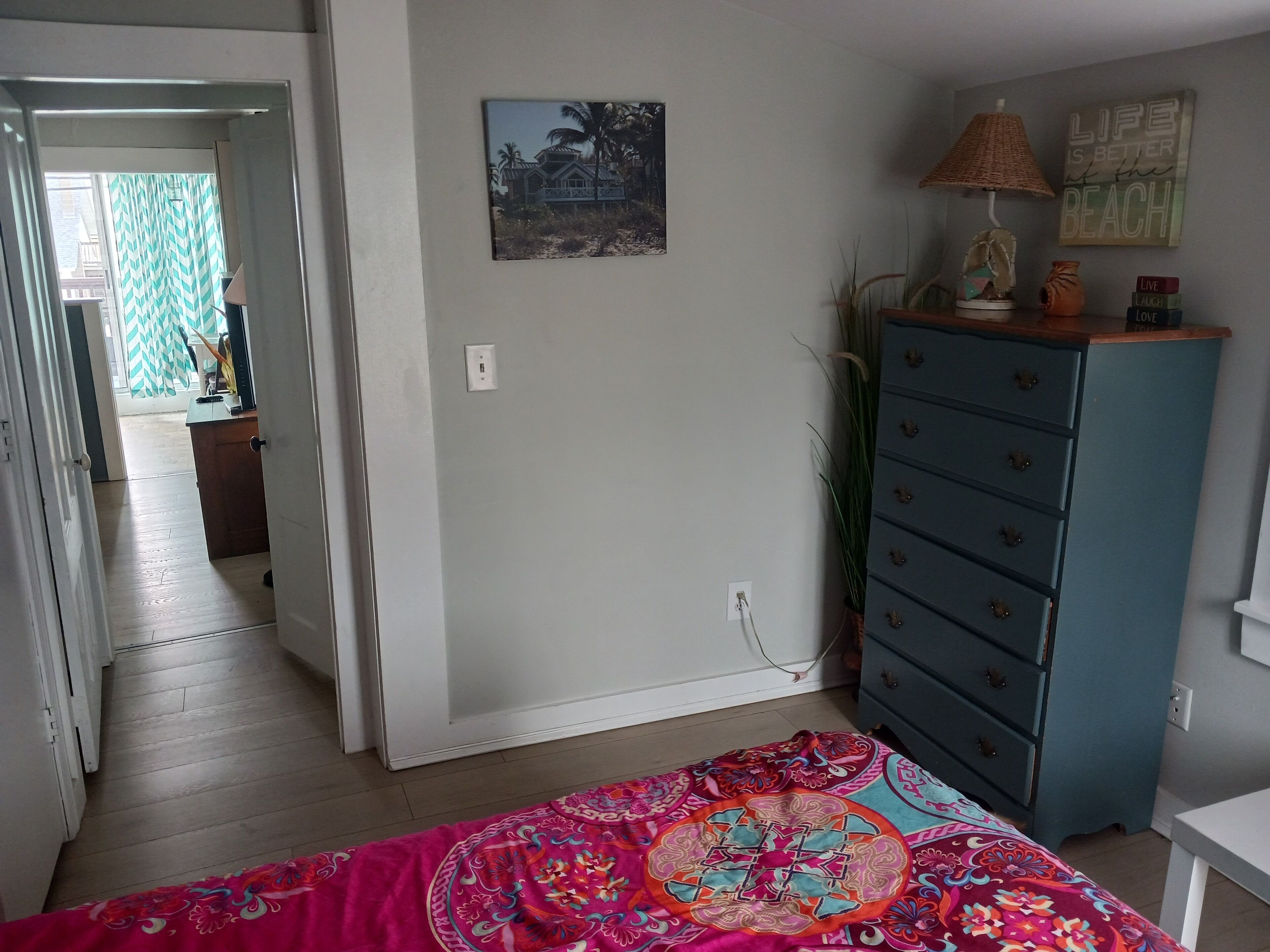 #1 Dog Friendly Location at the Beach... 1 minute walk to the Ocean