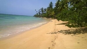 Beach - Tropical Paradise Retreat in Las Terrenas (El Limon)