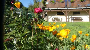 Un bâtiment doté d’un balcon, d’une pelouse et de fleurs.