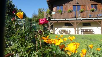 DĂ©tail de lâextĂ©rieur