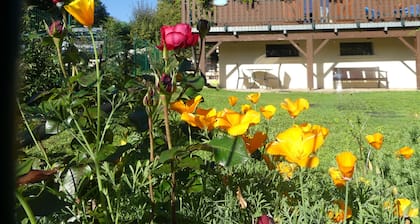 Chalet dans le Revermont, proche des sentiers de randonnées. Pour 2 personnes.
