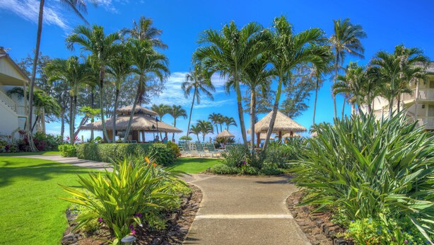 A pathway leading to a resort area with thatched-roof structures, surrounded by lush greenery and palm trees. - Studio w/Ocean Views - Islander On The Beach 322 (Kapa'a)
