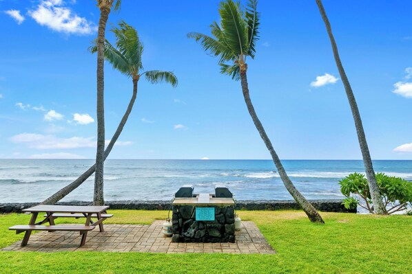 A picnic area with a grill and benches overlooking the ocean.