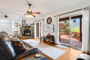 Smart TV, fireplace, books