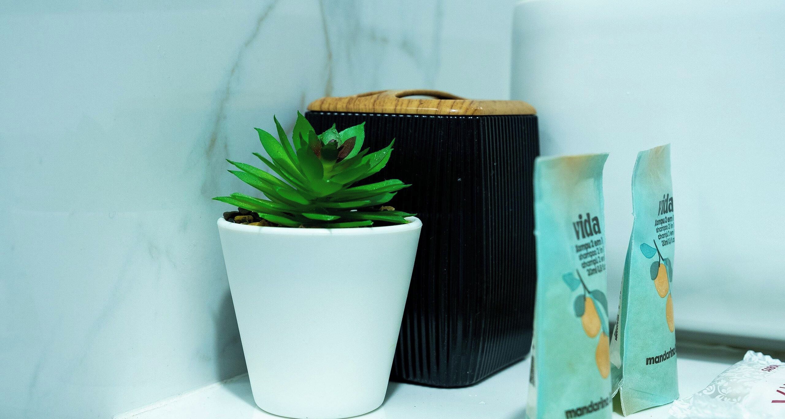 A potted plant, a black bag, and two packets of shampoo on a white surface.