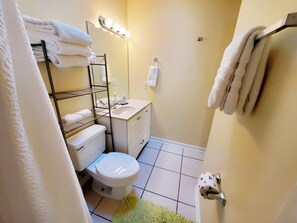 Chuveiro, secador de cabelo, toalhas de banho, sabonete