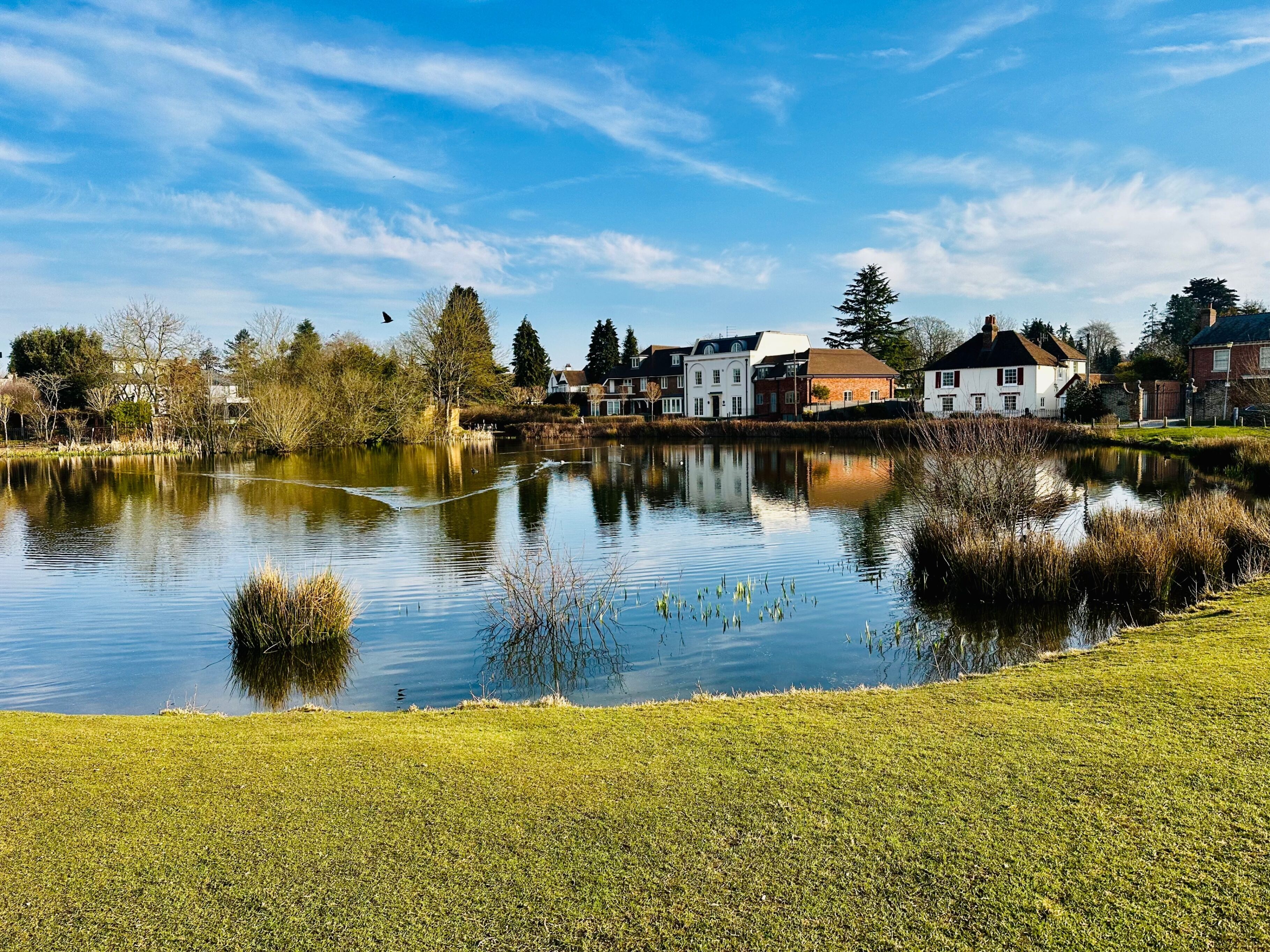 A calm lake with houses along the shore, clear skies, and a grassy foreground.