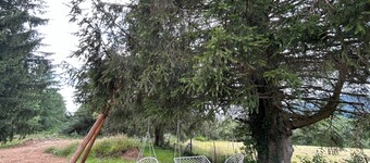 Gîte Du Vieux Chêne