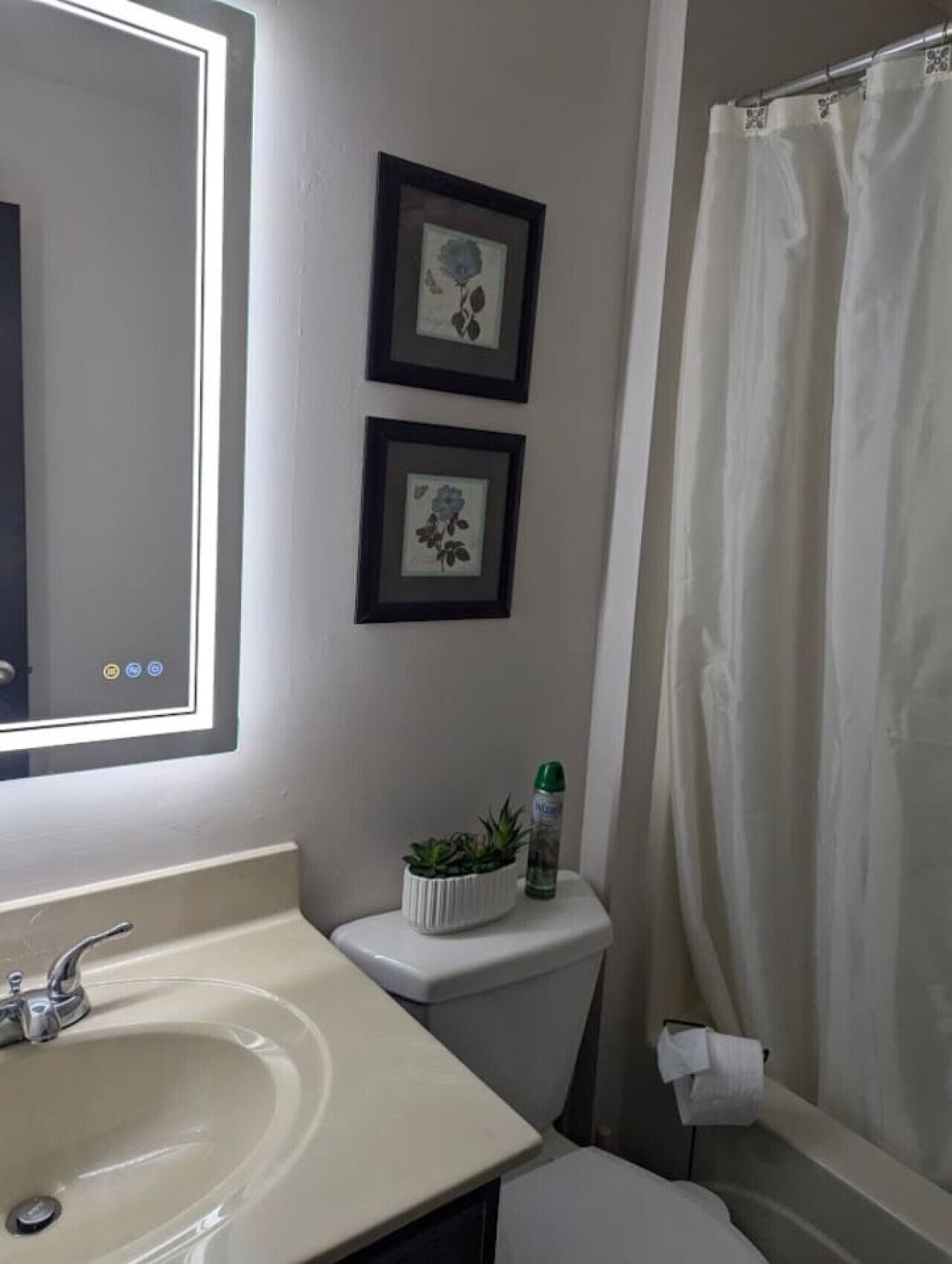 A bathroom with a sink, toilet, framed floral pictures, and a shower curtain.