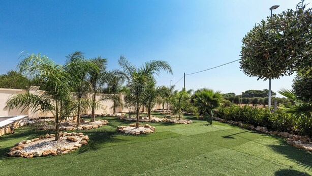 Un jardín bien cuidado, césped impecable, palmeras y un camino de piedra.