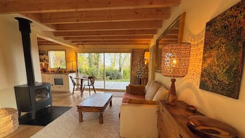 Televisión, chimenea, libros, estéreo