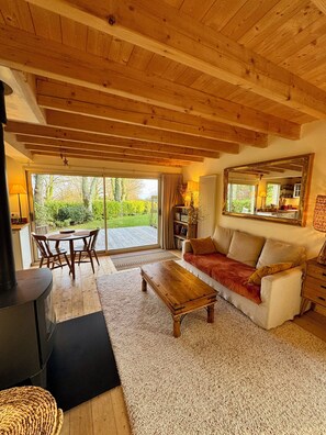 TV, fireplace, books, stereo